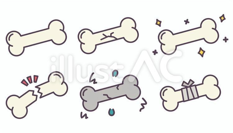 Free Vectors | 6 types of bone icons