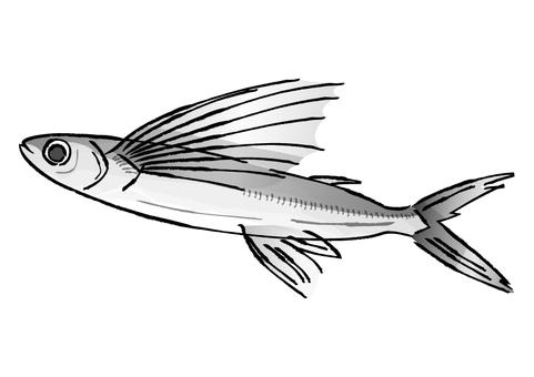 Illustration, flying fish, toyota, jaw, JPG, PNG and AI