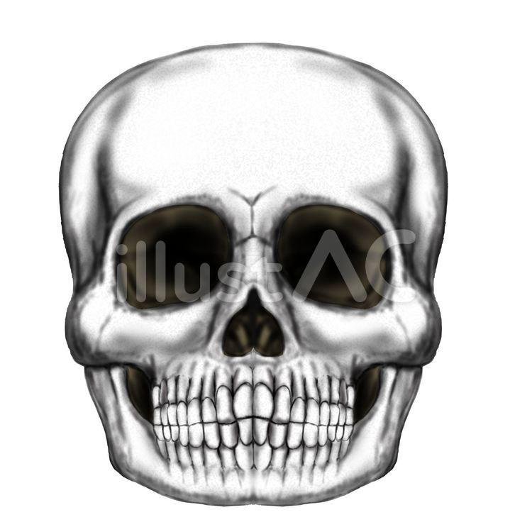 skull, skull, skull, Bones, JPG, PNG