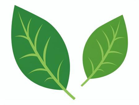 leaf, leaf, green, simple, JPG, PNG and EPS