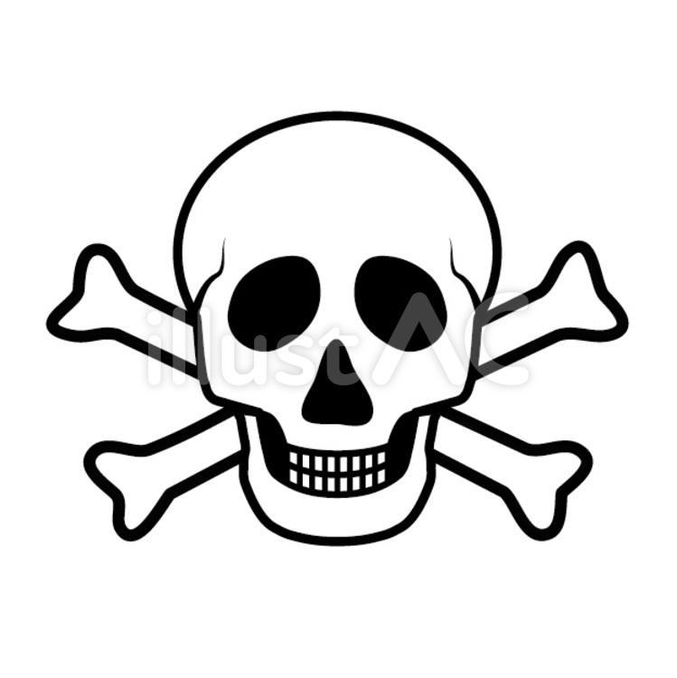 , skull, skull, bone, JPEG, PNG, EPS