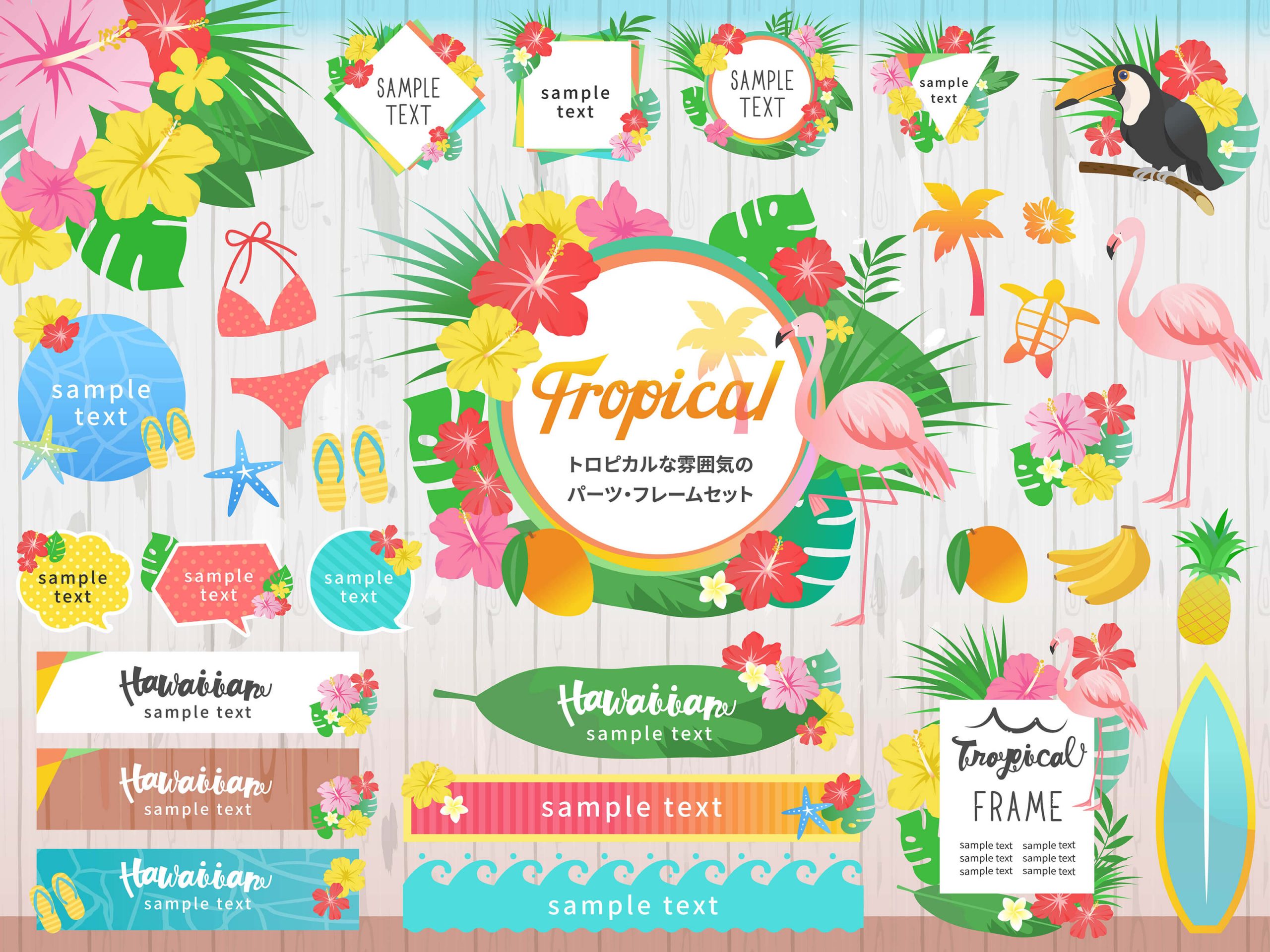 15+ Awesome Royalty-free Tropical Clipart for your Designs