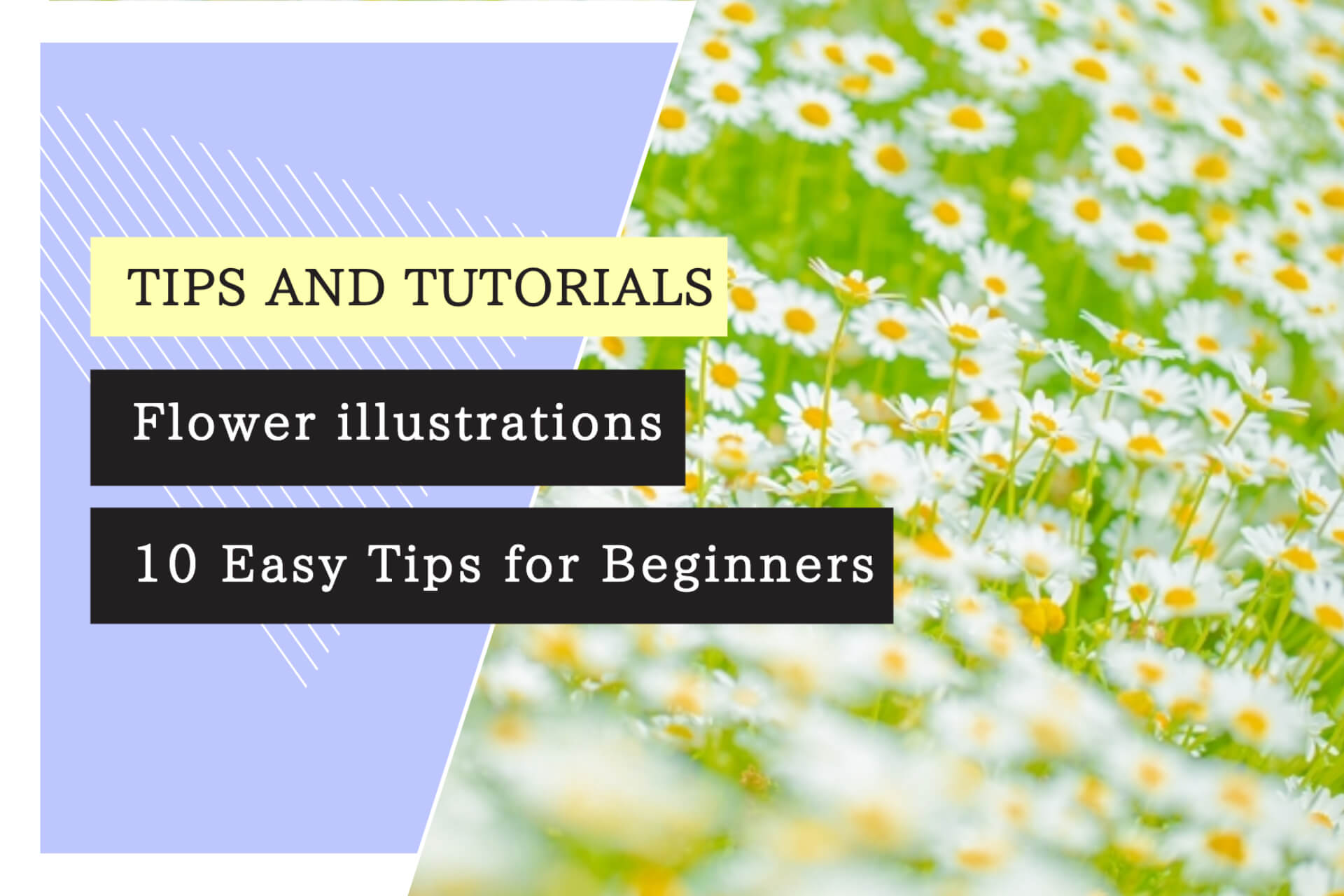 Flower illustrations: 10 Easy Tips for Beginners
