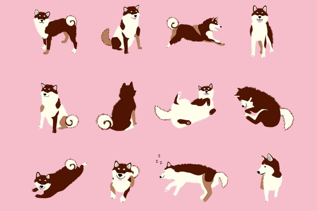 Dog illustrations illustAC
