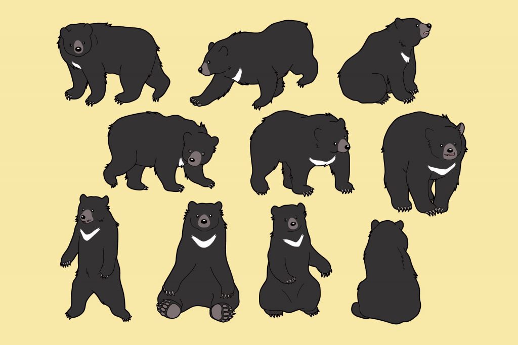 10+ Royalty-Free Bear Clip Art for Free Download