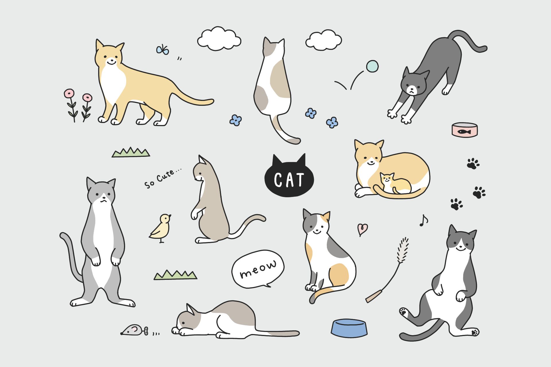 cats images clipart