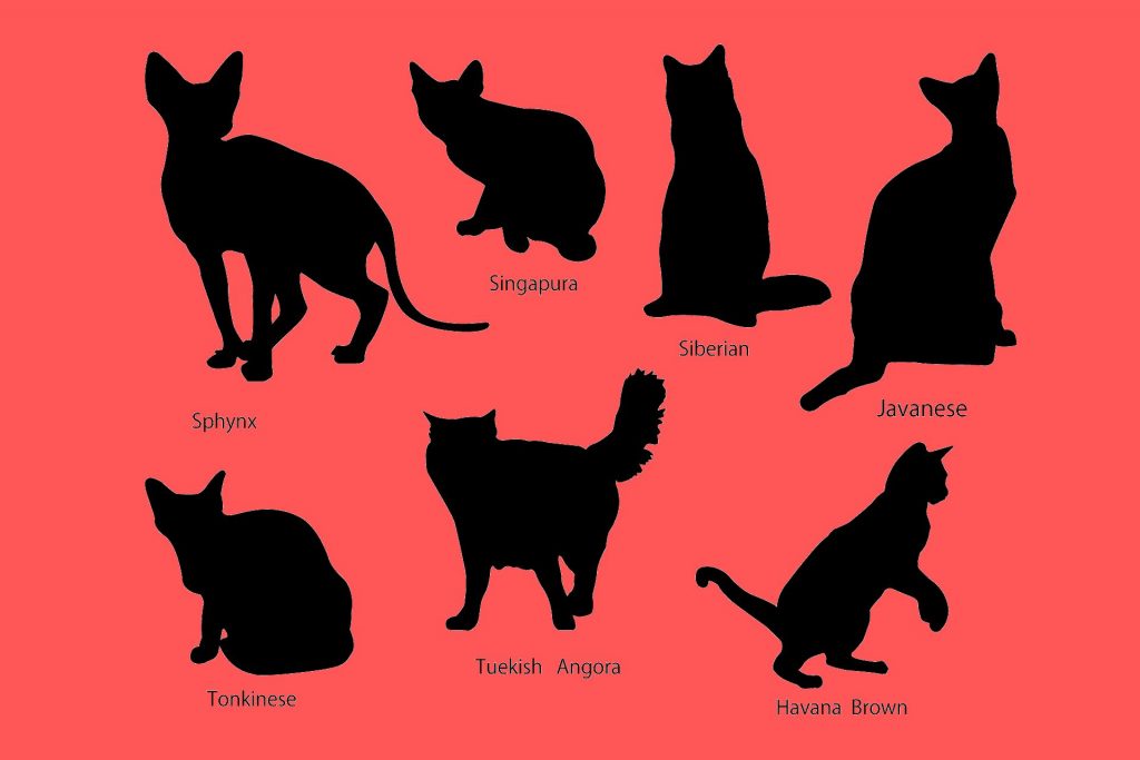 cat silhouette clipart illustAC 