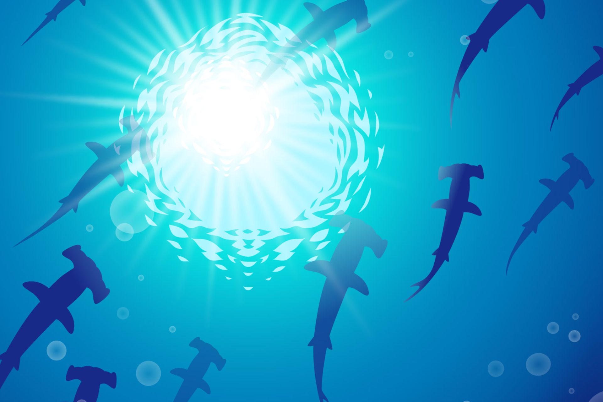 shark clip art illustAC