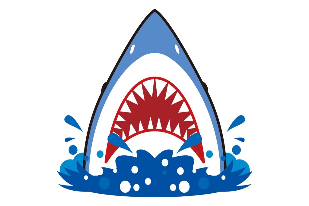 shark head illustAC