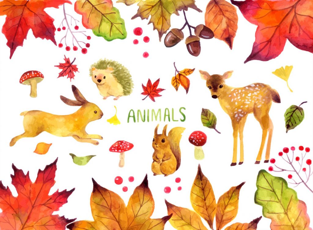 Free Fall Leaves Clipart: Beautiful Collections to Download and 5 Best Use Cases