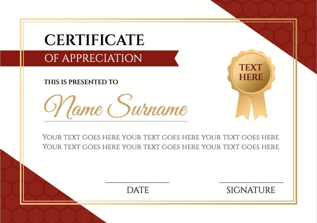 10+ Fantastic Ideas to Apply Thanksgiving Illustrations and Backgrounds in Design