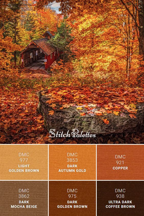 Top 10 Fall Color Palettes for 2023 - Unlimited Graphic Design Service