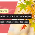 Download 40 Cute Fall Wallpapers and Aesthetic Backgrounds for Free