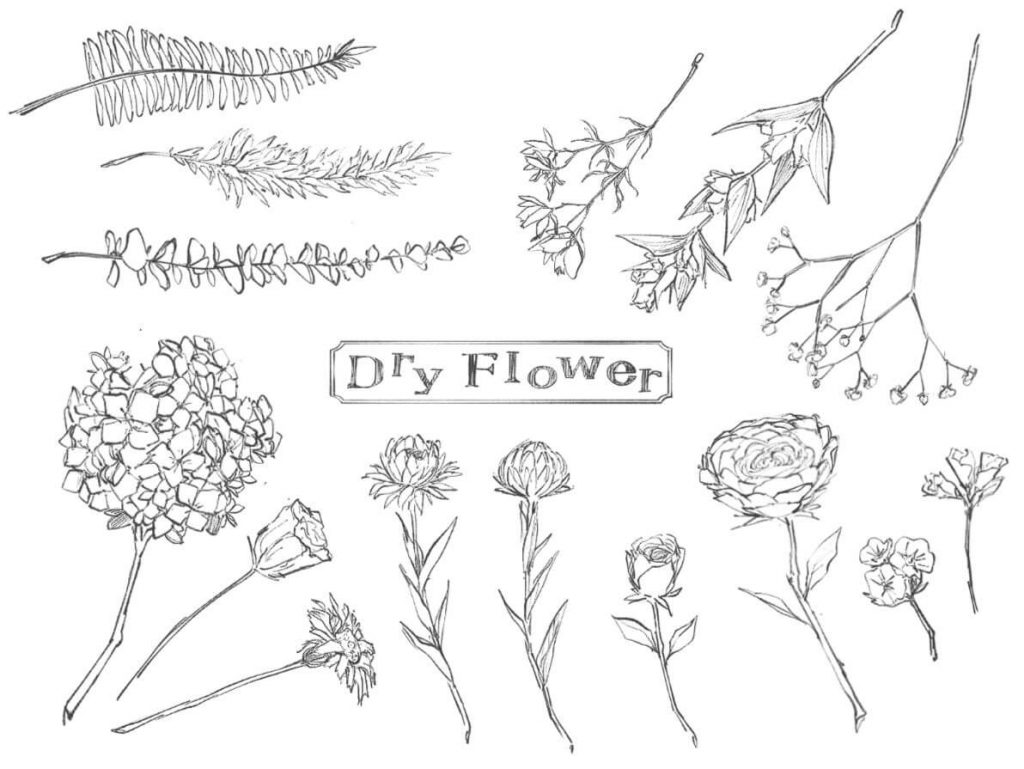 Free Flower Line Drawing Vectors for you to Download