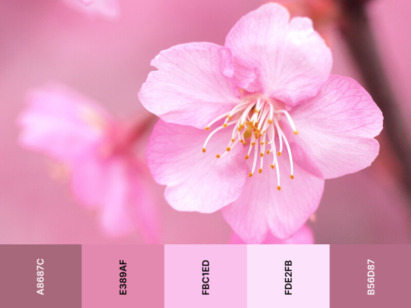 10 unique pastel color palettes for lovely illustrations and vector graphics