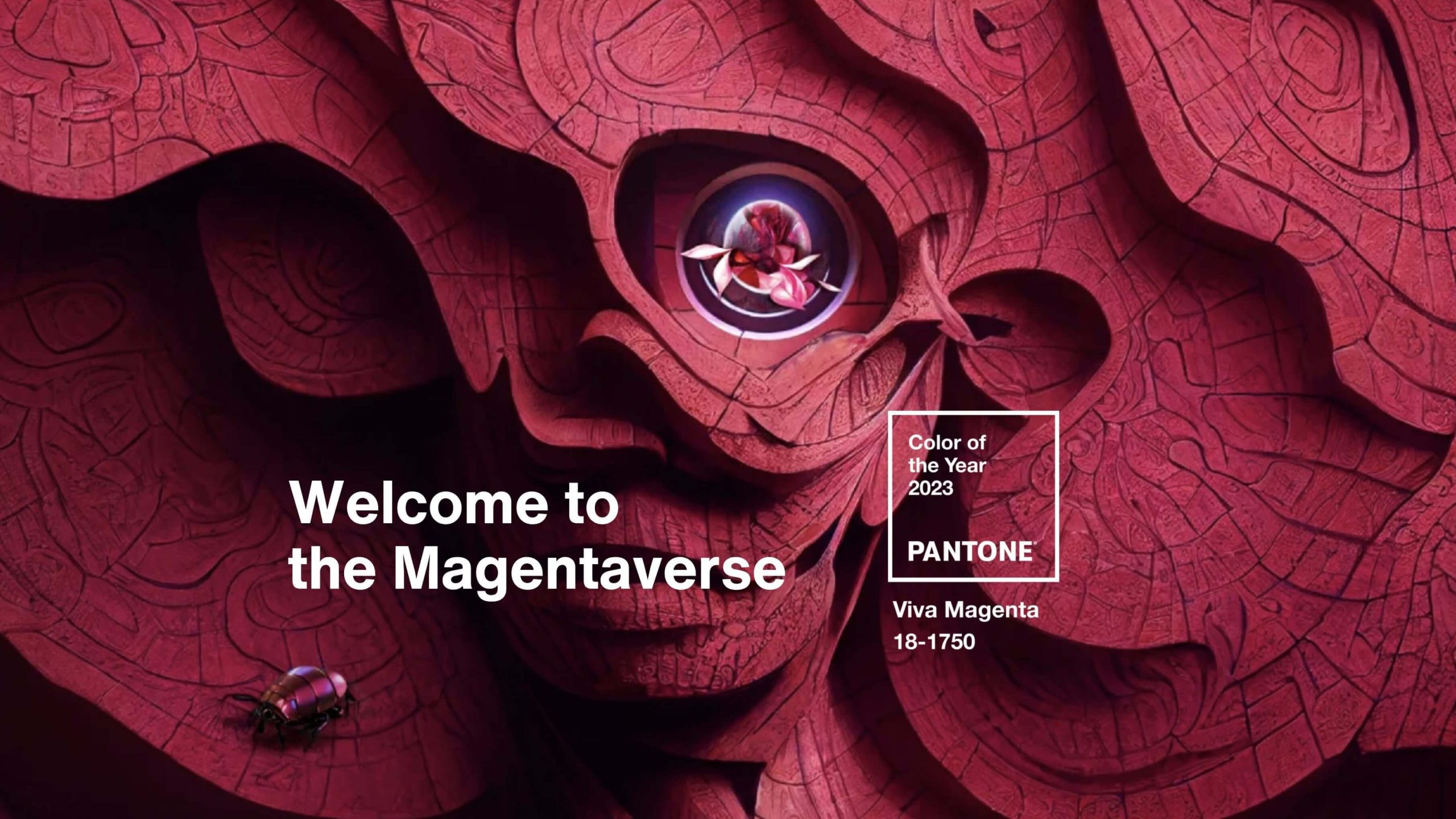 Viva Magenta - Pantone color of the year 2023
