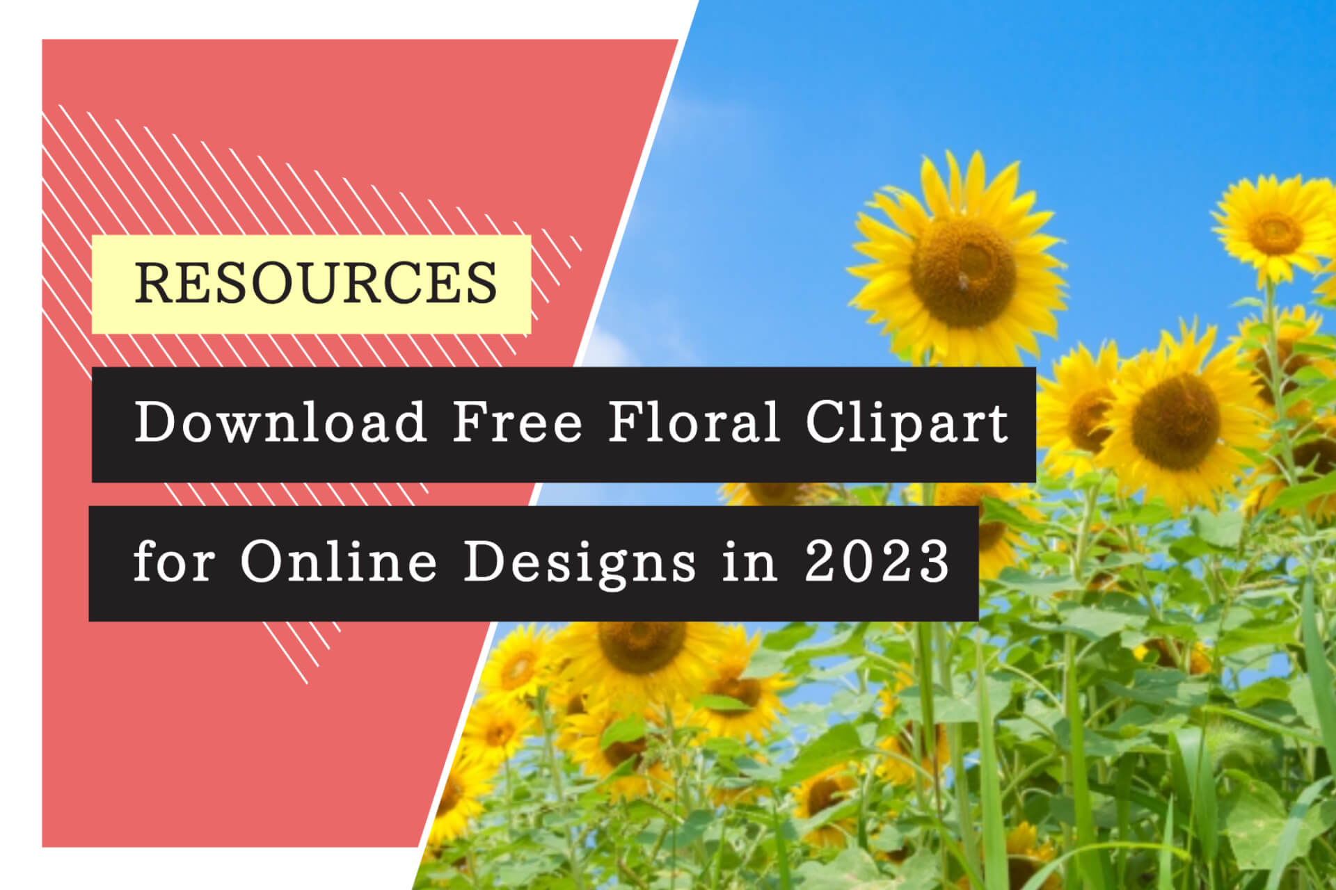 Download Free Floral Clipart for Online Designs in 2023