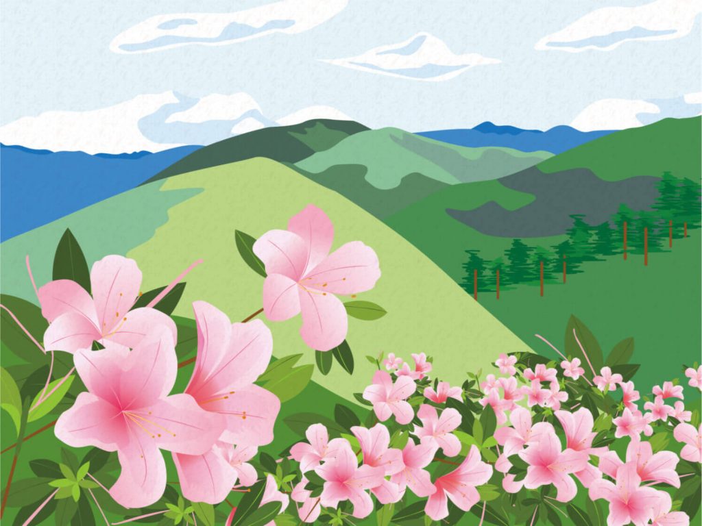 Download Free Floral Clipart for Online Designs in 2023