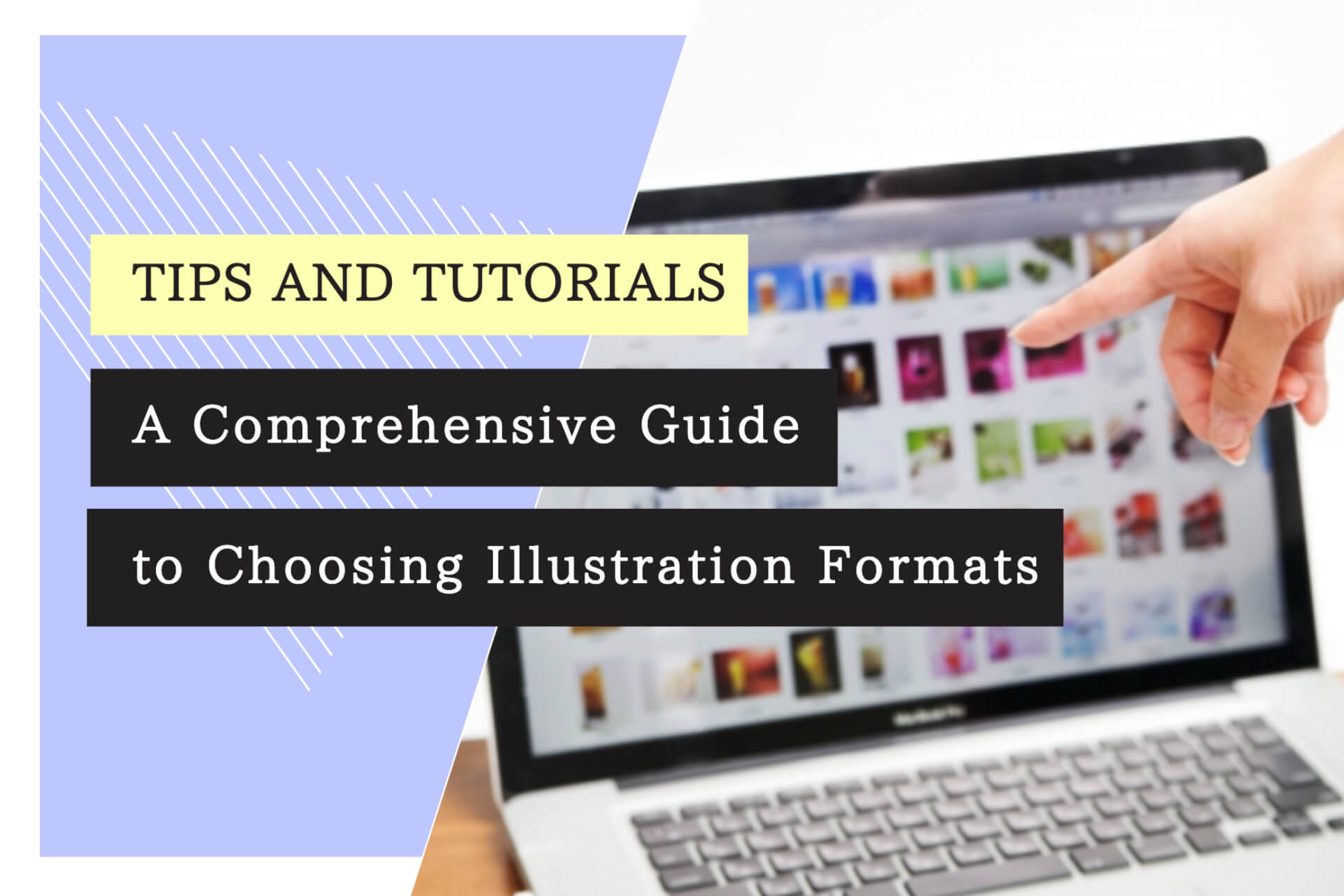 A Comprehensive Guide to Choosing Illustration Formats: The 4 Most Common Formats to Use