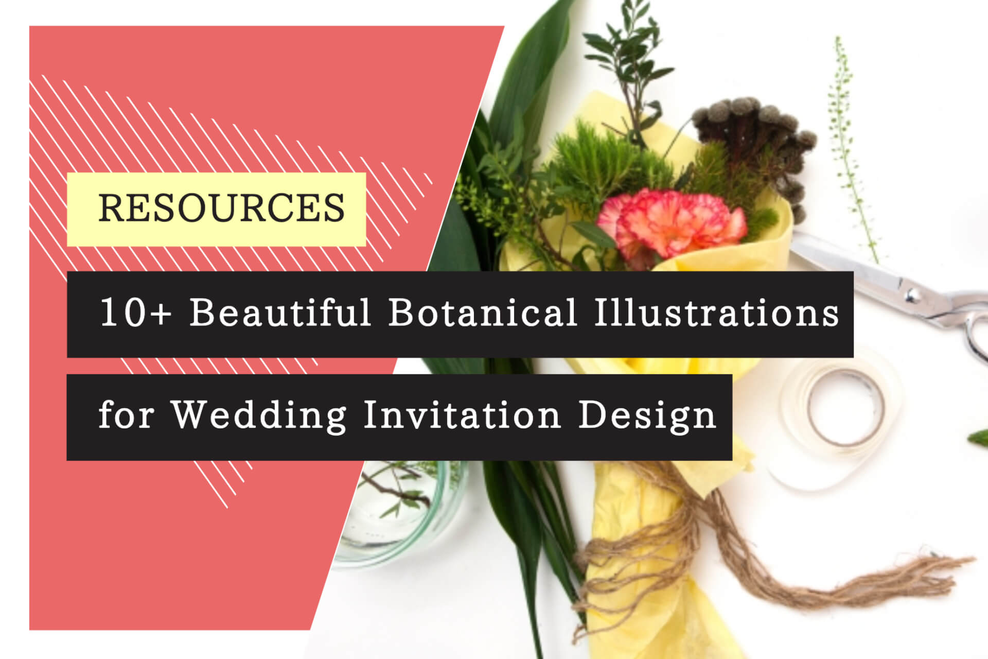 10+ Beautiful Botanical Illustrations for Wedding Invitation Design