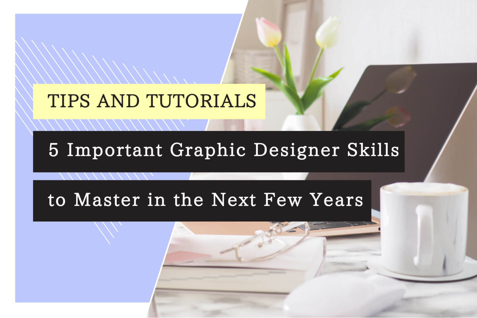 5 Important Graphic Designer Skills to Master in the Next Few Years
