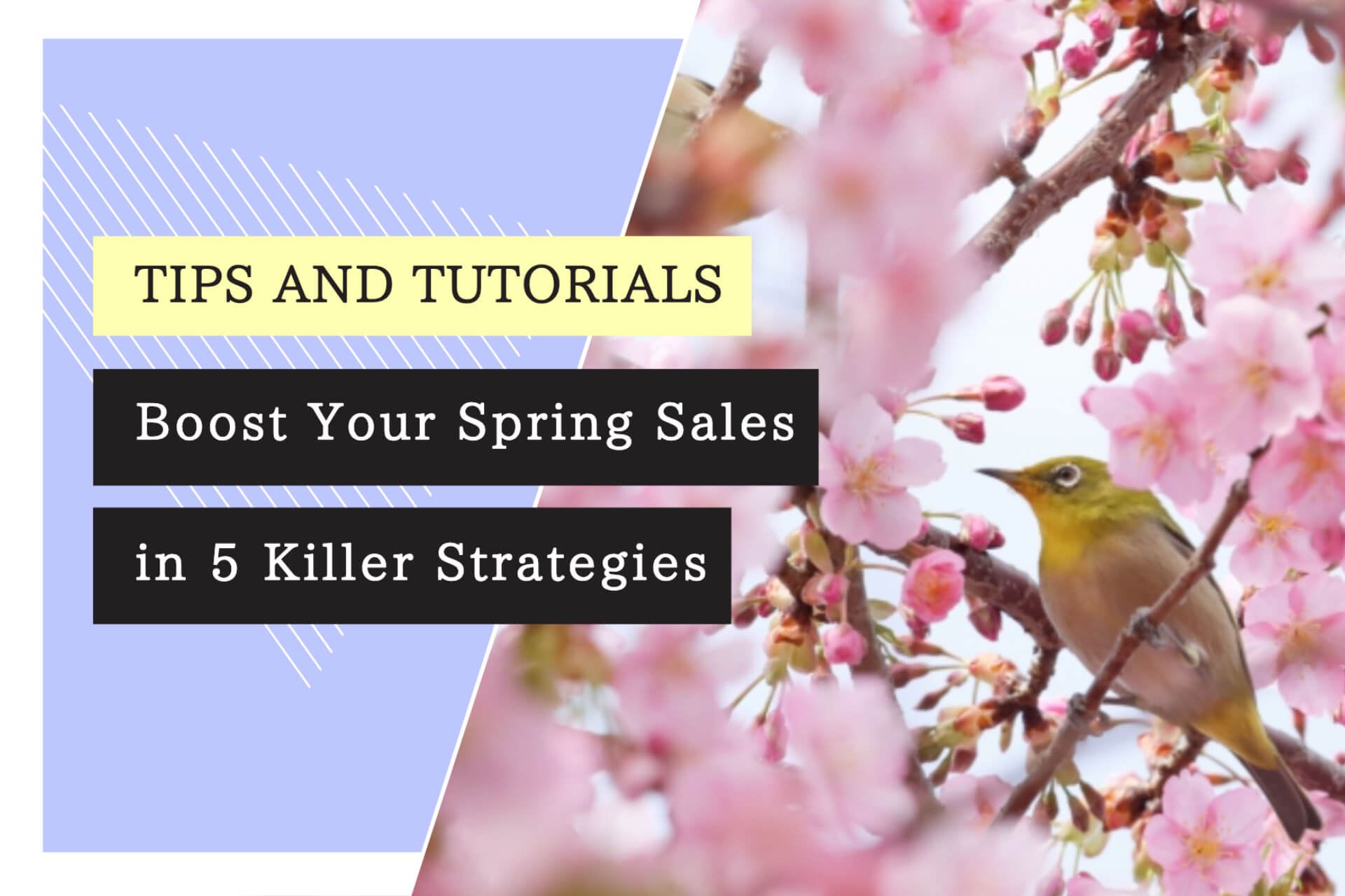 Spring Sales: Boost your spring sales in 5 killer strategies
